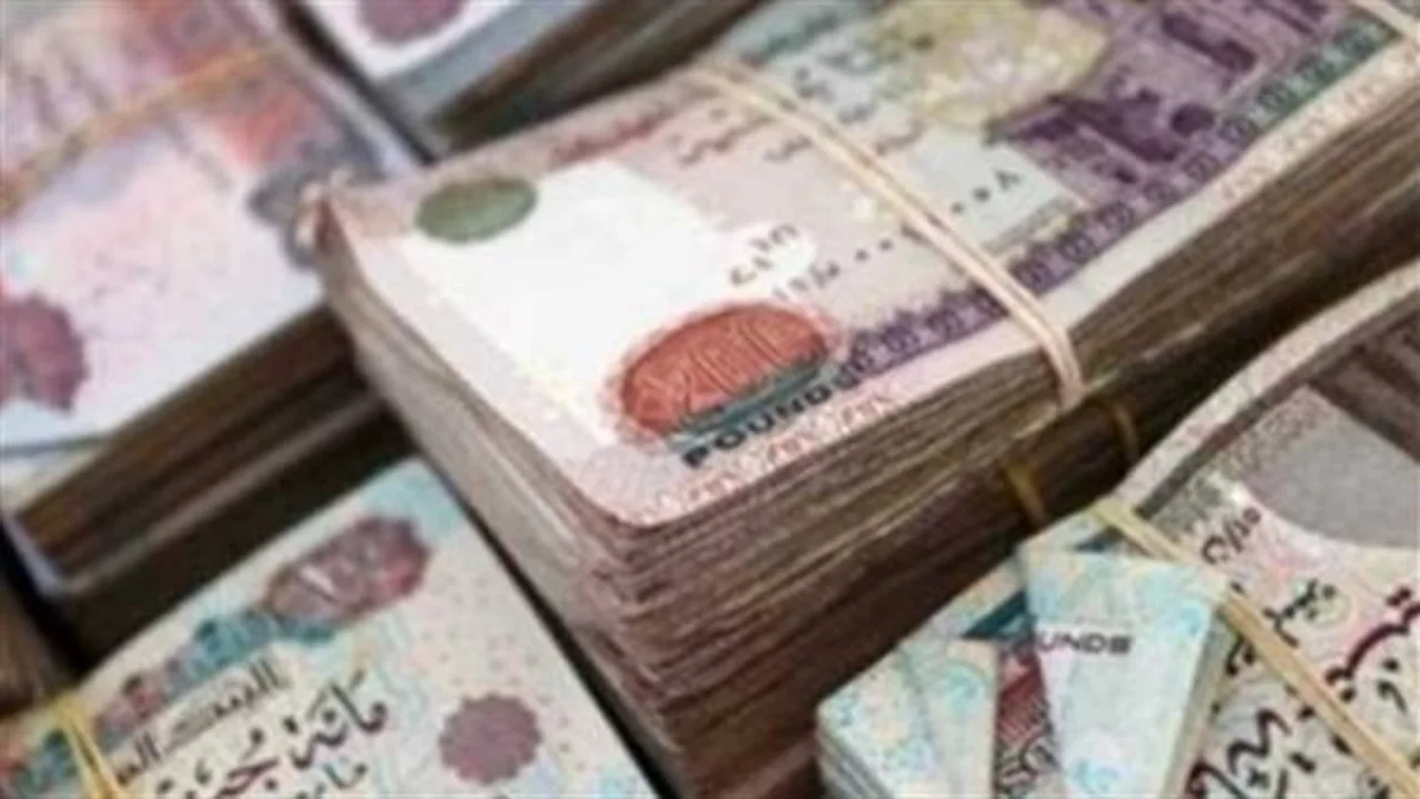 معاشات يونيو.. خطوات الاستعلام قبل عيد الأضحى